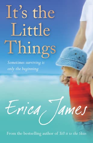 It's the Little Things book cover