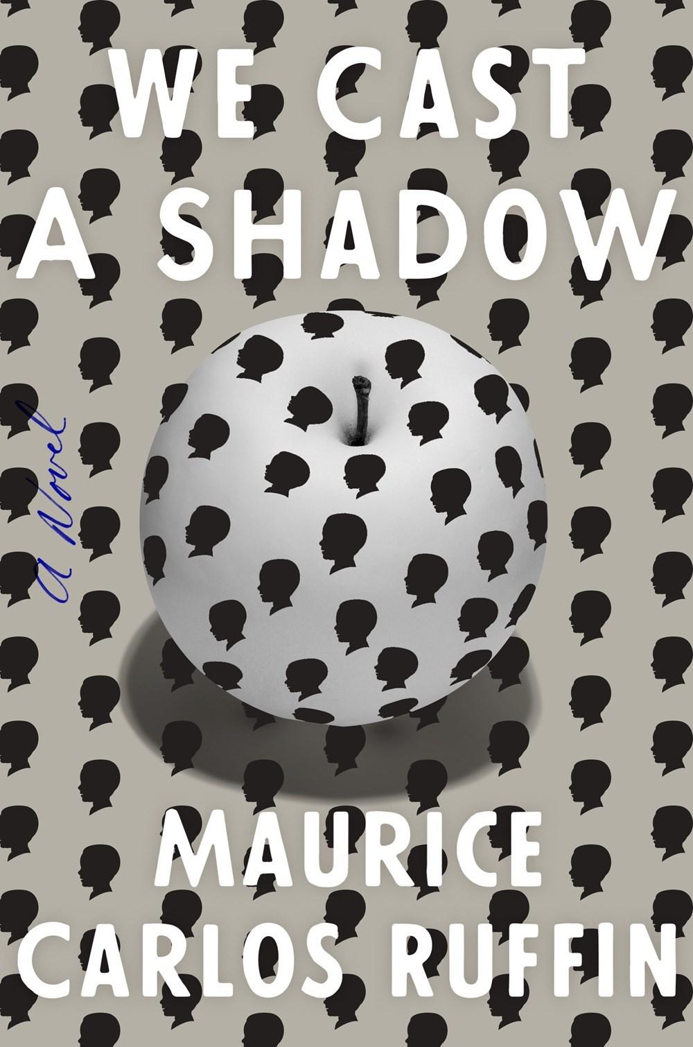 We Cast a Shadow book cover