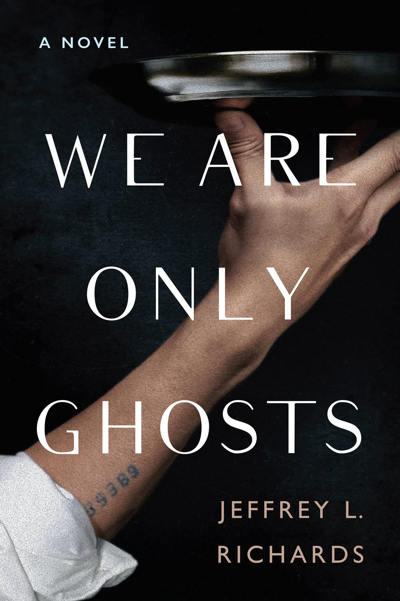 We Are Only Ghosts book cover