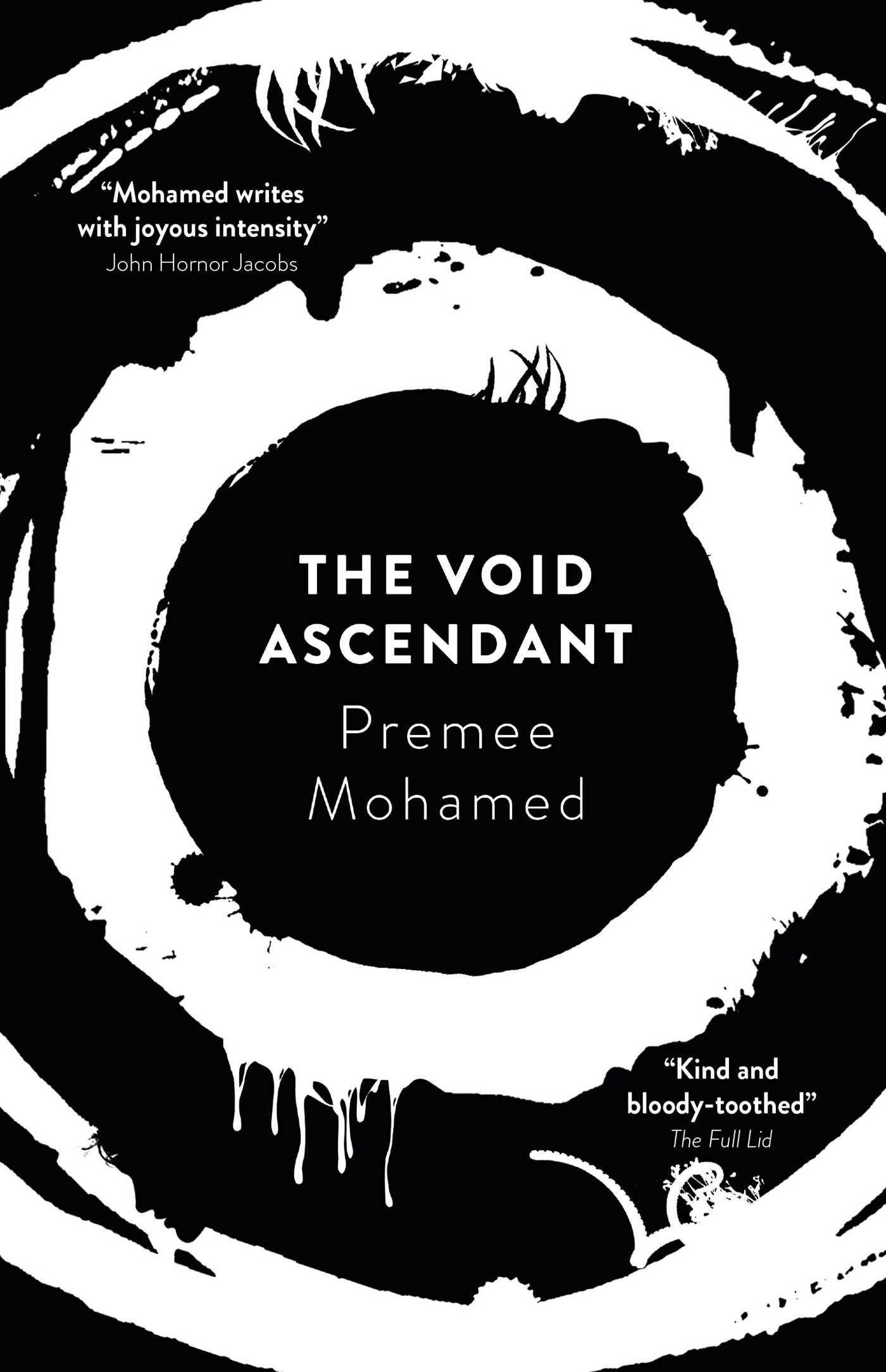 The Void Ascendant book cover