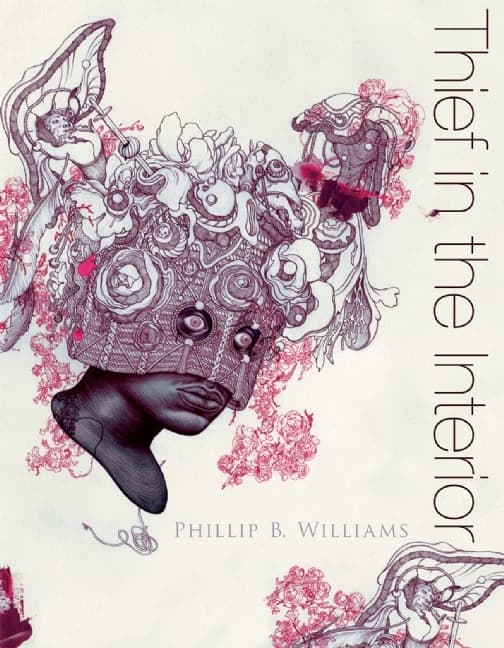 Thief in the Interior book cover