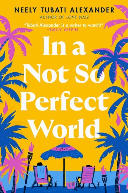 In a Not So Perfect World book cover