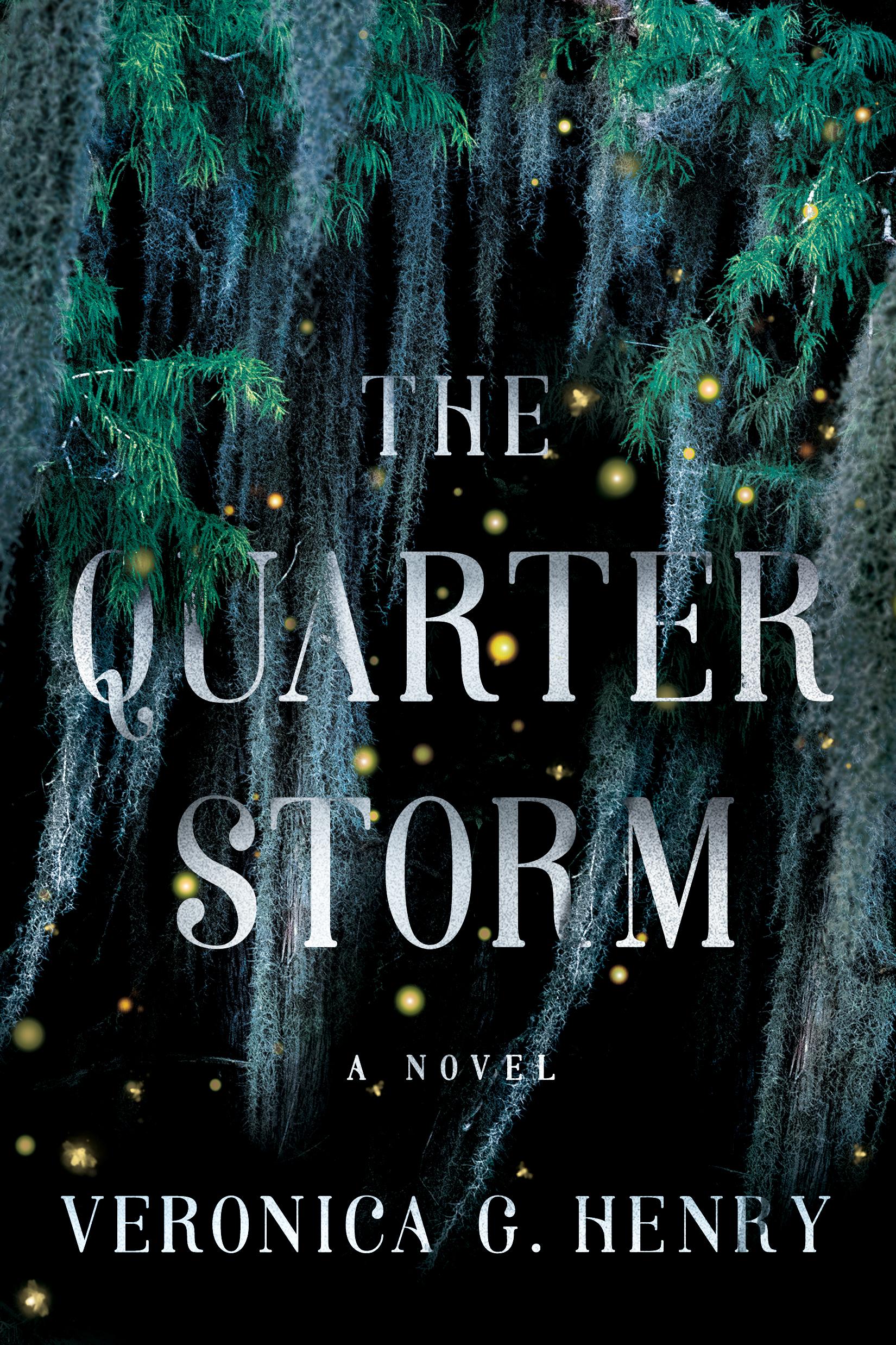 The Quarter Storm book cover