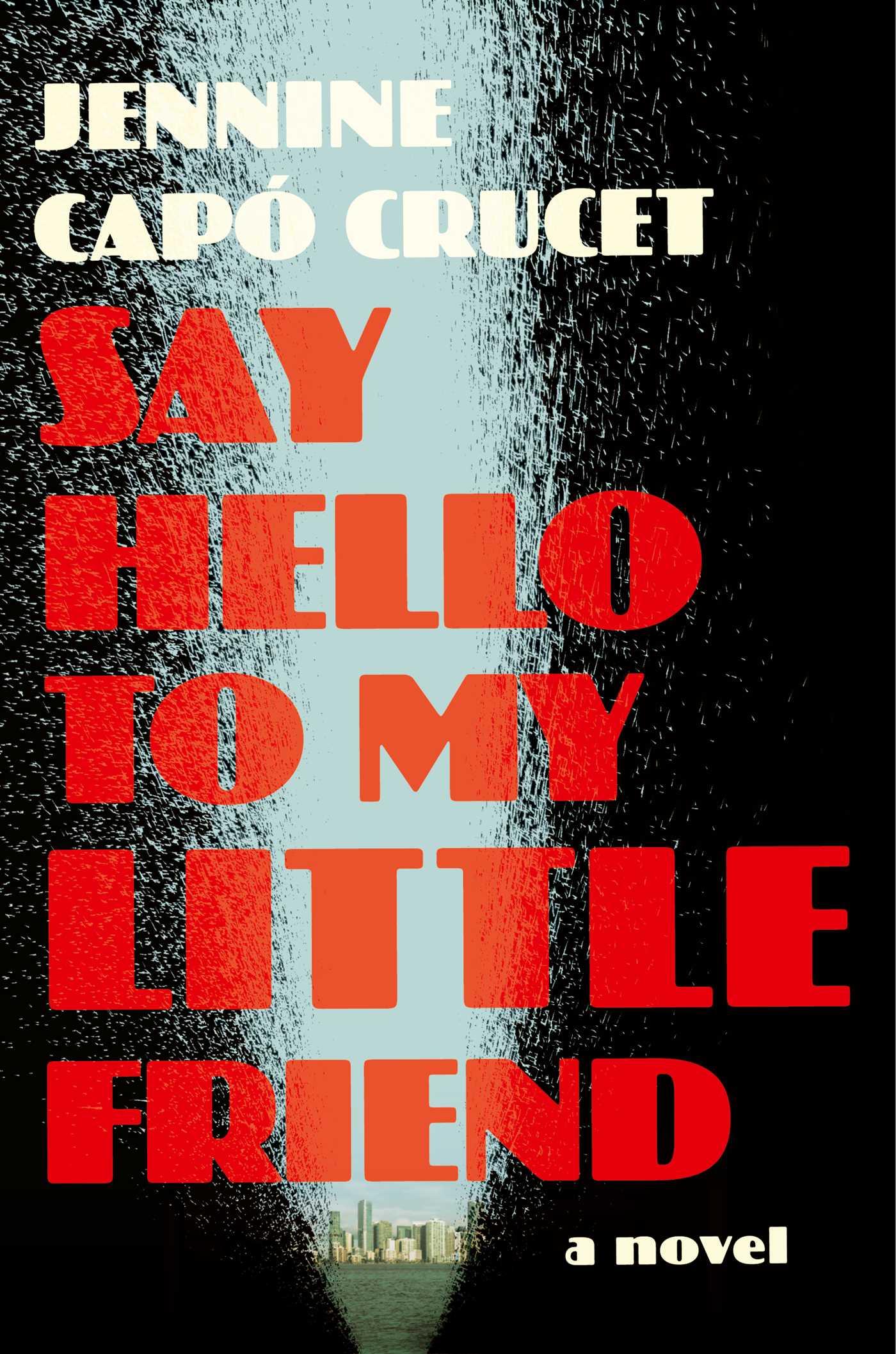 Say Hello to My Little Friend book cover