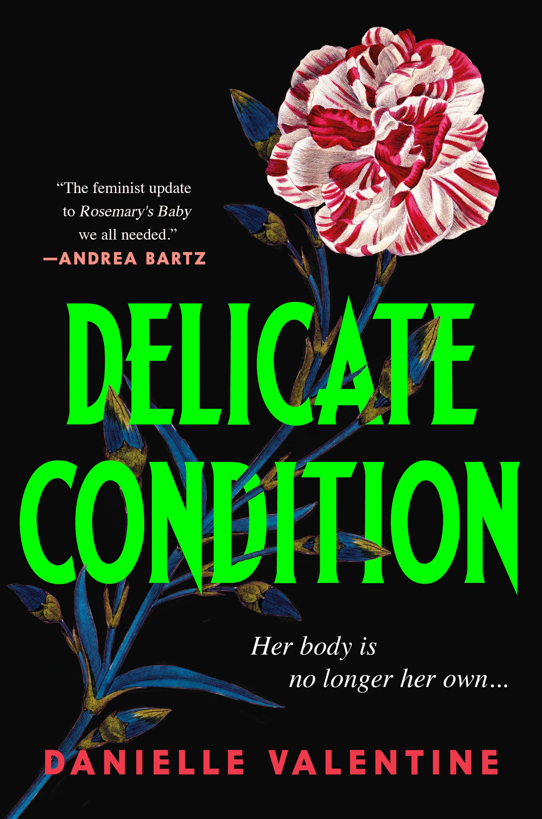 Delicate Condition book cover