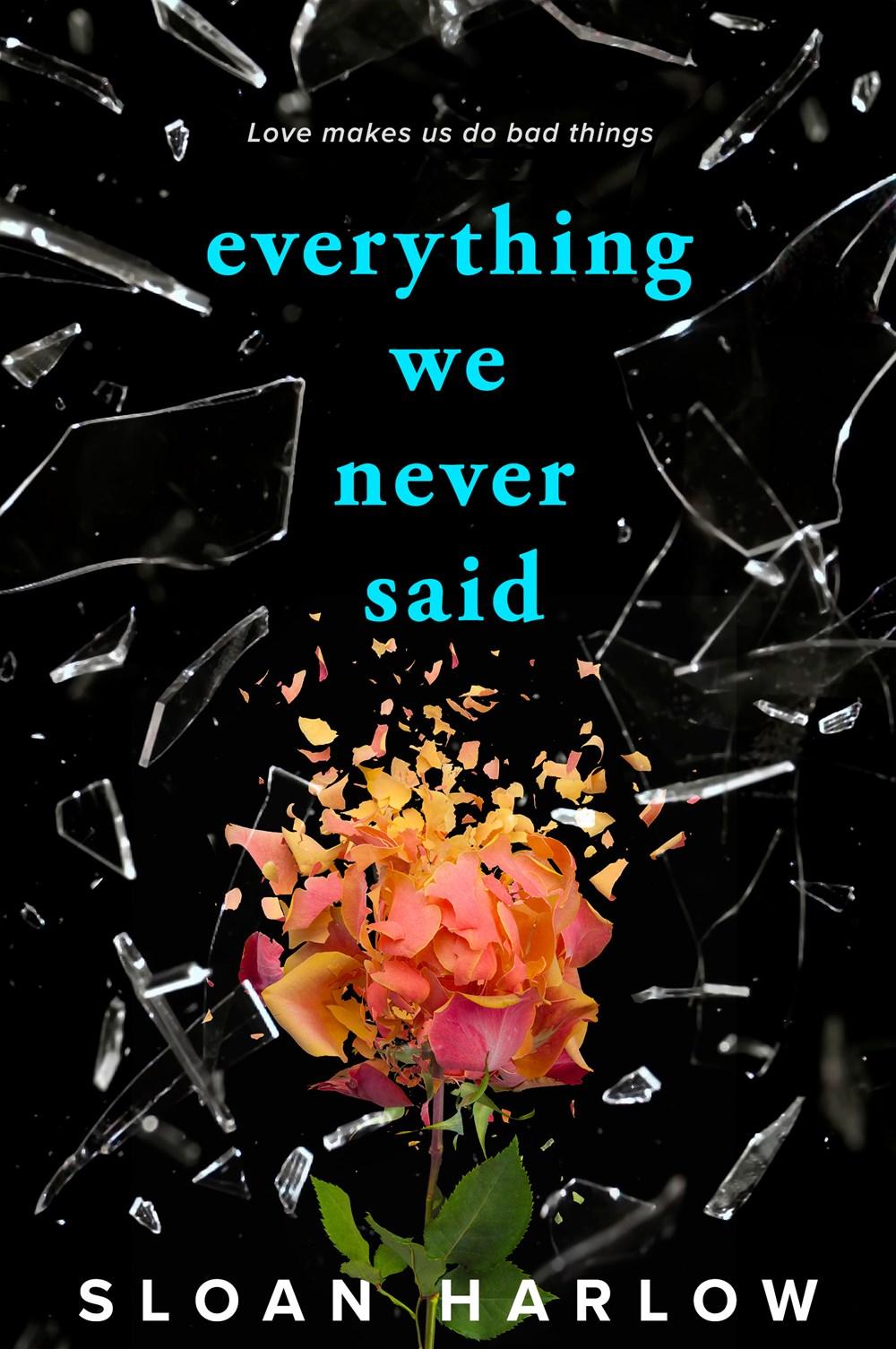 Everything We Never Said book cover