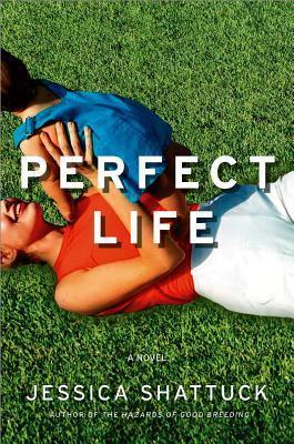 Perfect Life book cover
