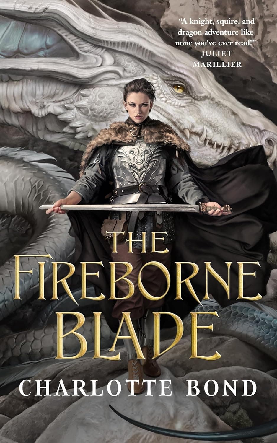The Fireborne Blade book cover