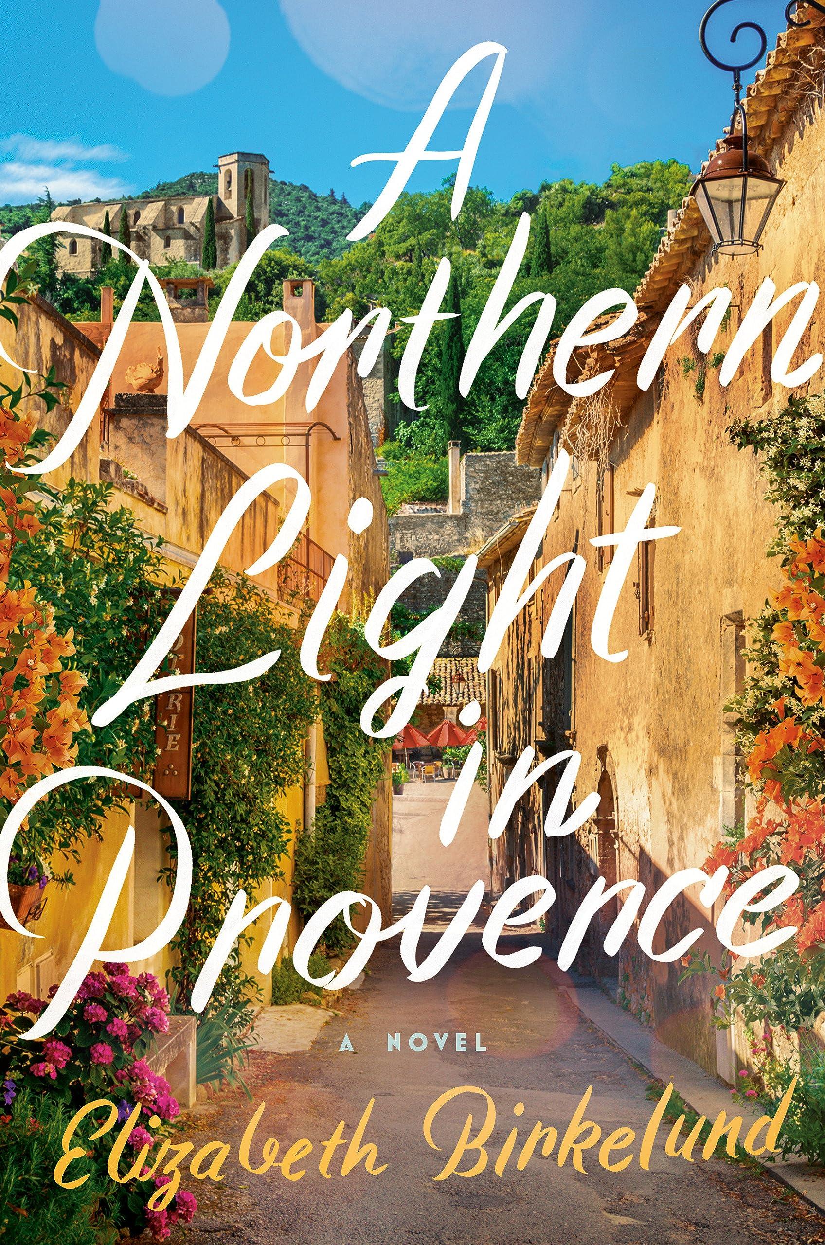 A Northern Light in Provence book cover