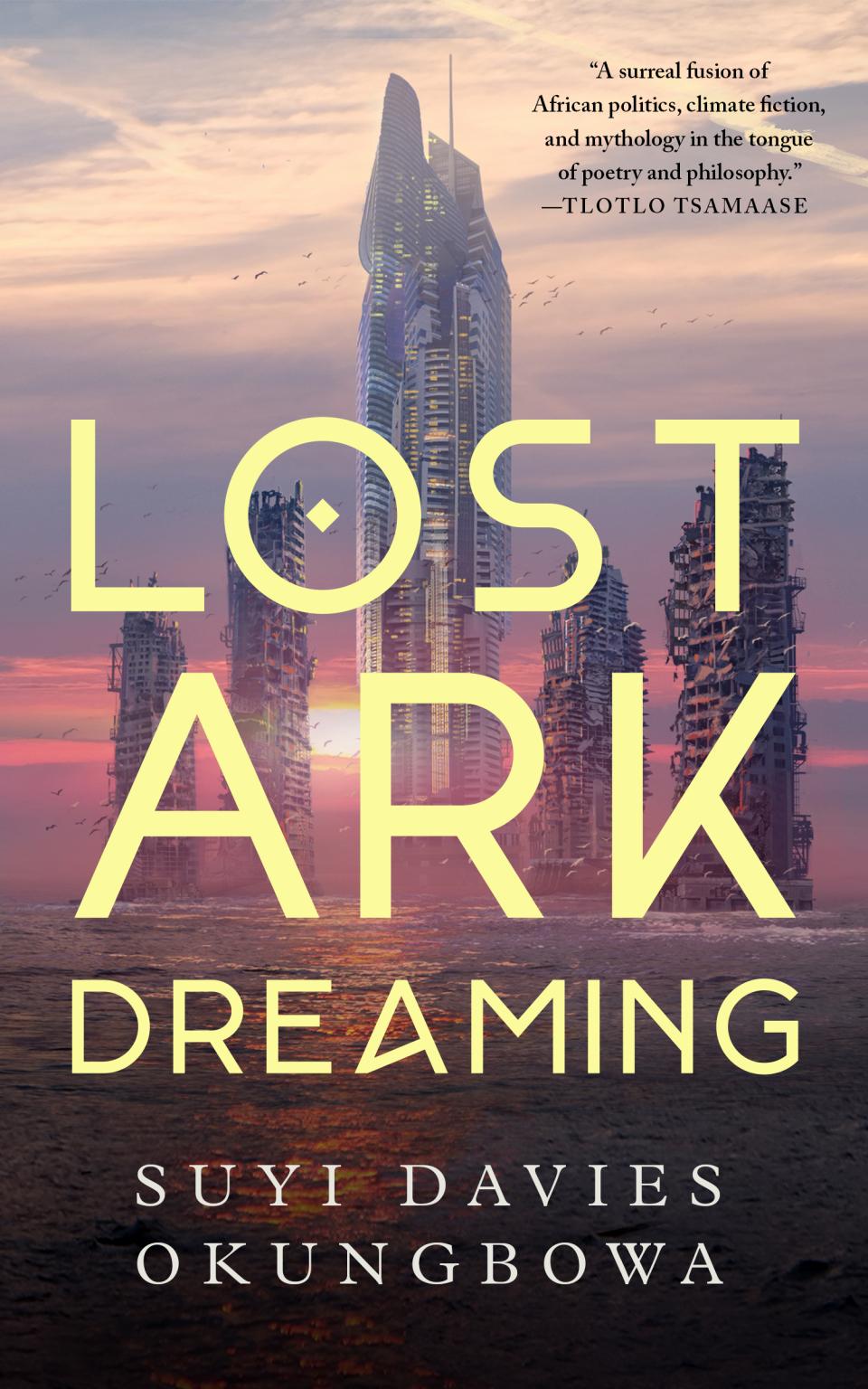 Lost Ark Dreaming book cover