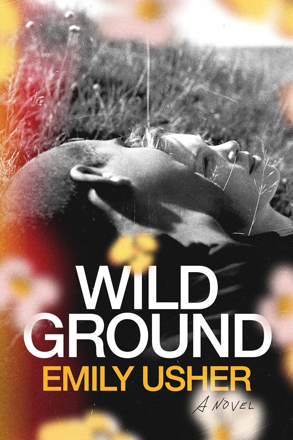 Wild Ground book cover