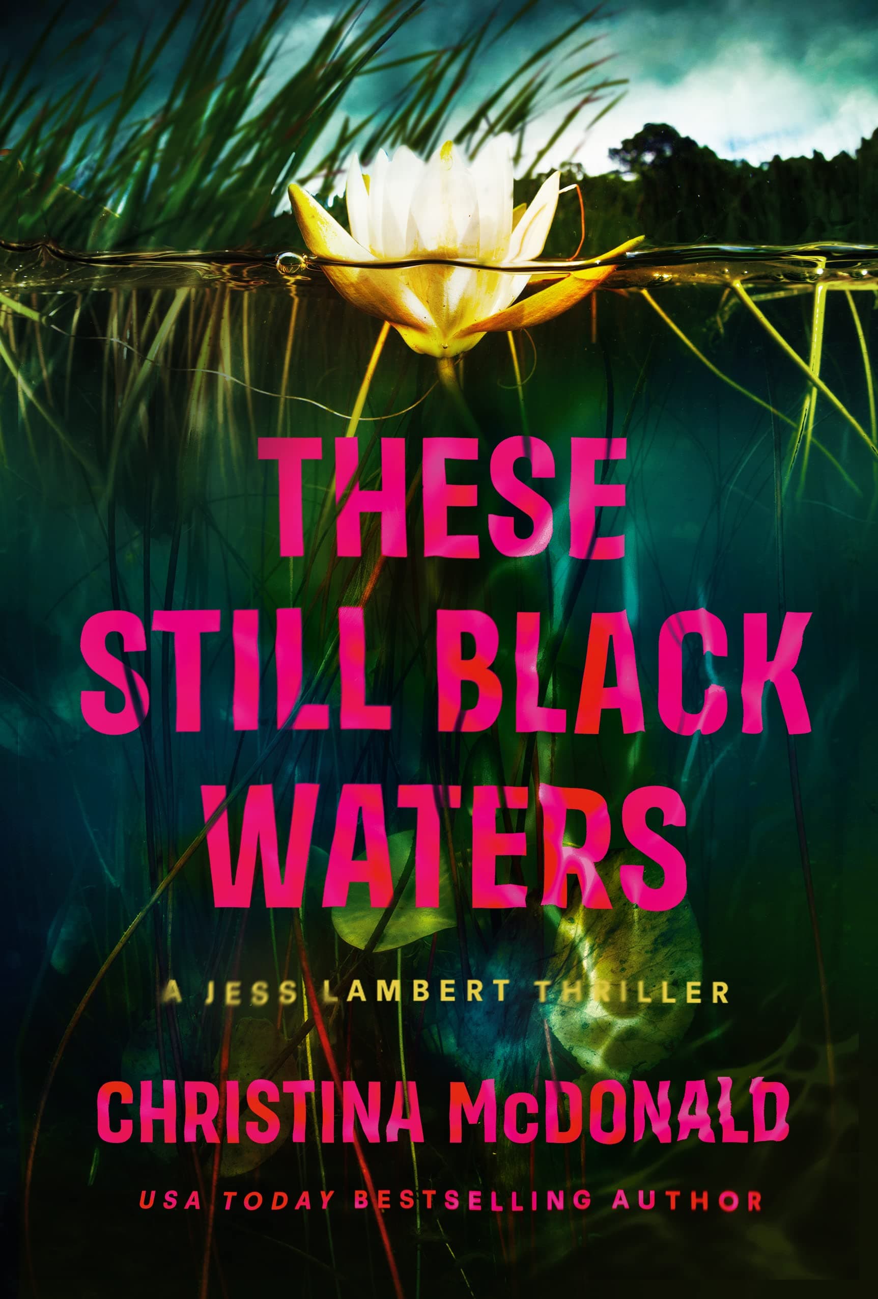 These Still Black Waters book cover