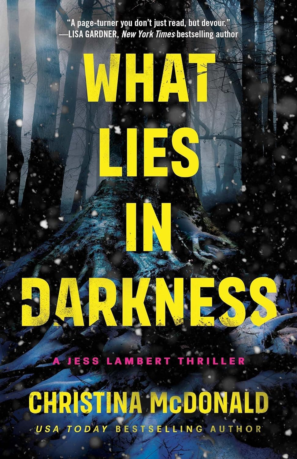 What Lies in Darkness book cover