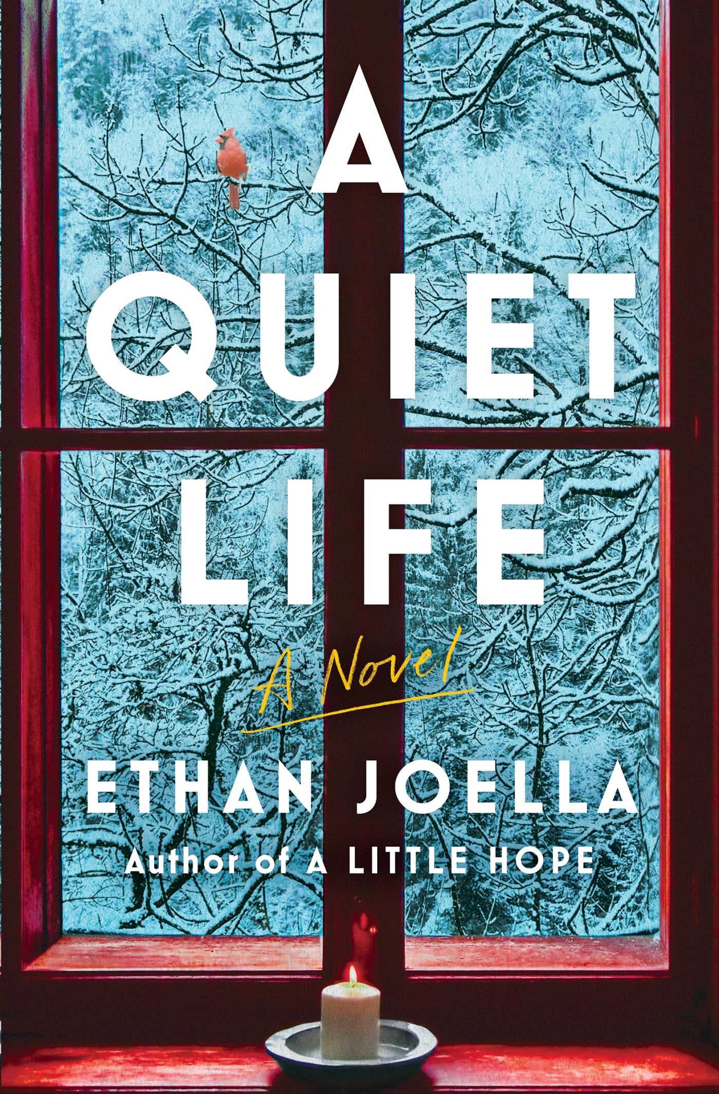 A Quiet Life book cover