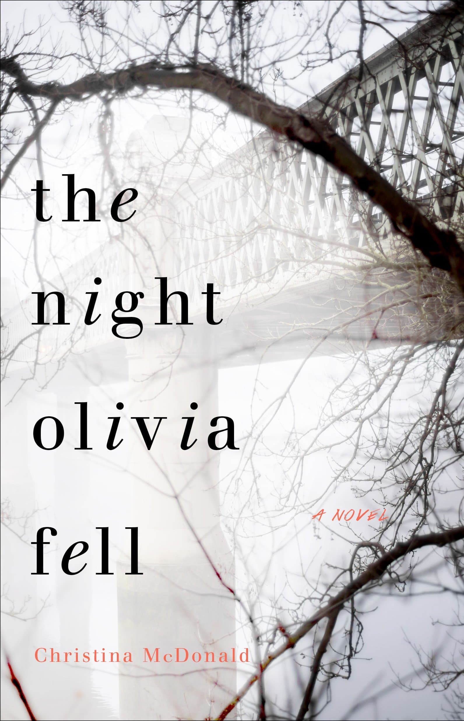 The Night Olivia Fell book cover