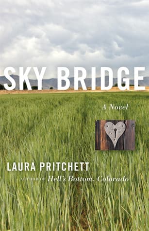Sky Bridge book cover