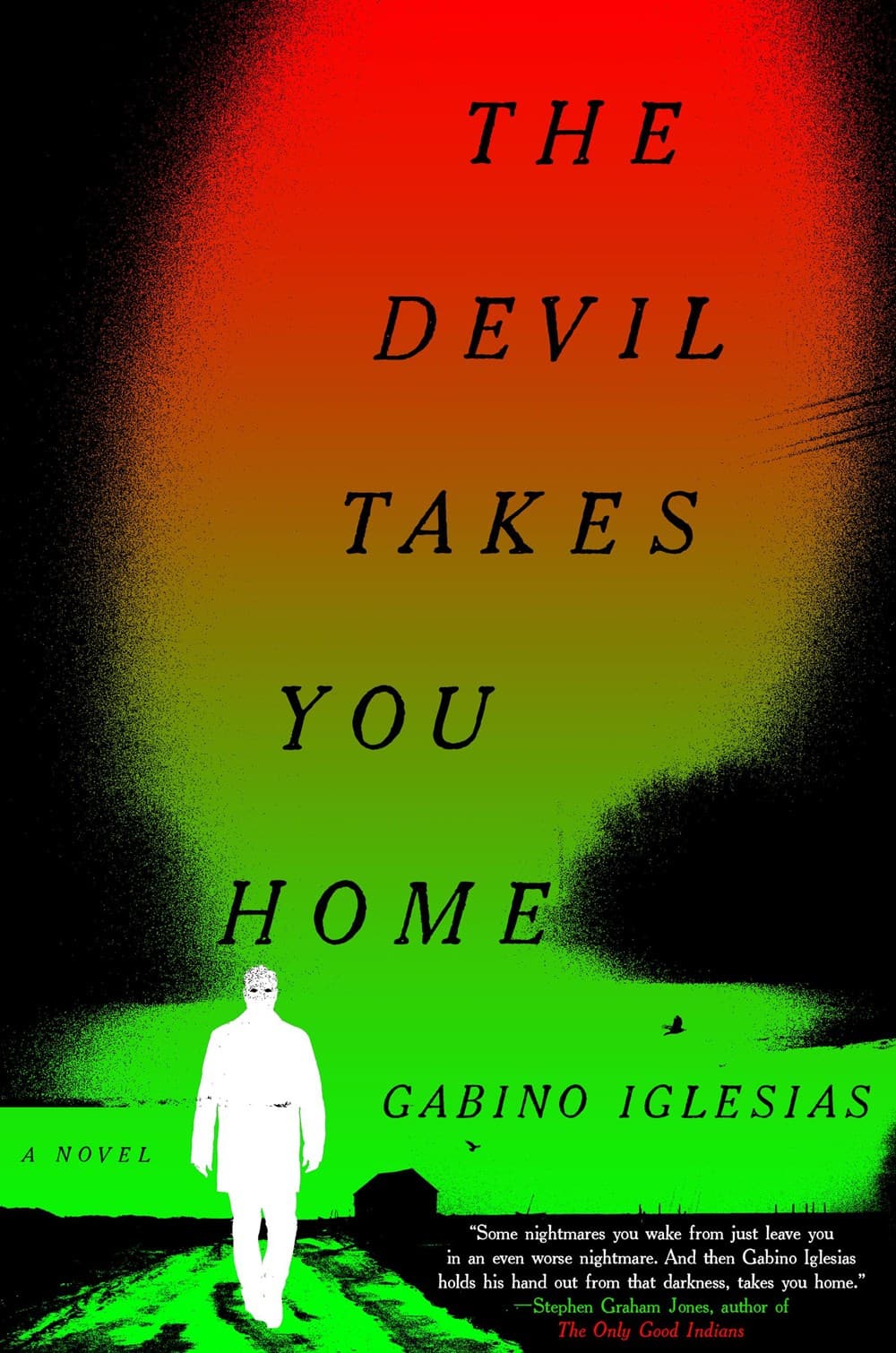 The Devil Takes You Home book cover