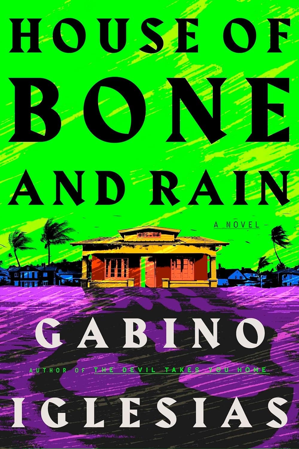 House of Bone and Rain book cover