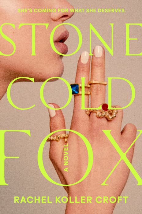 Stone Cold Fox book cover