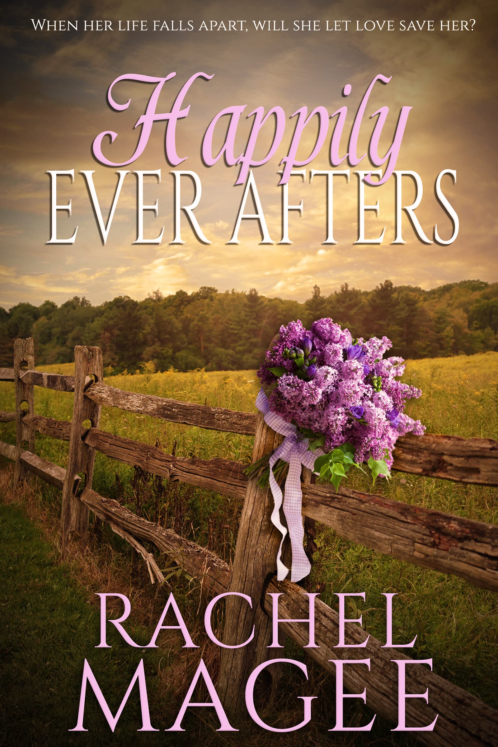 Happily Ever Afters book cover