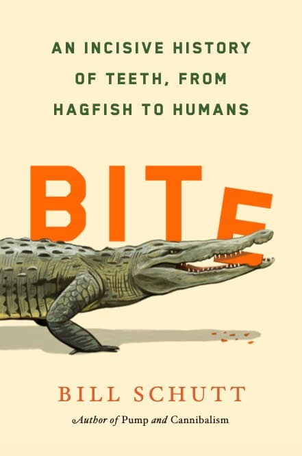 Bite: An Incisive History of Teeth, from Hagfish to Humans book cover