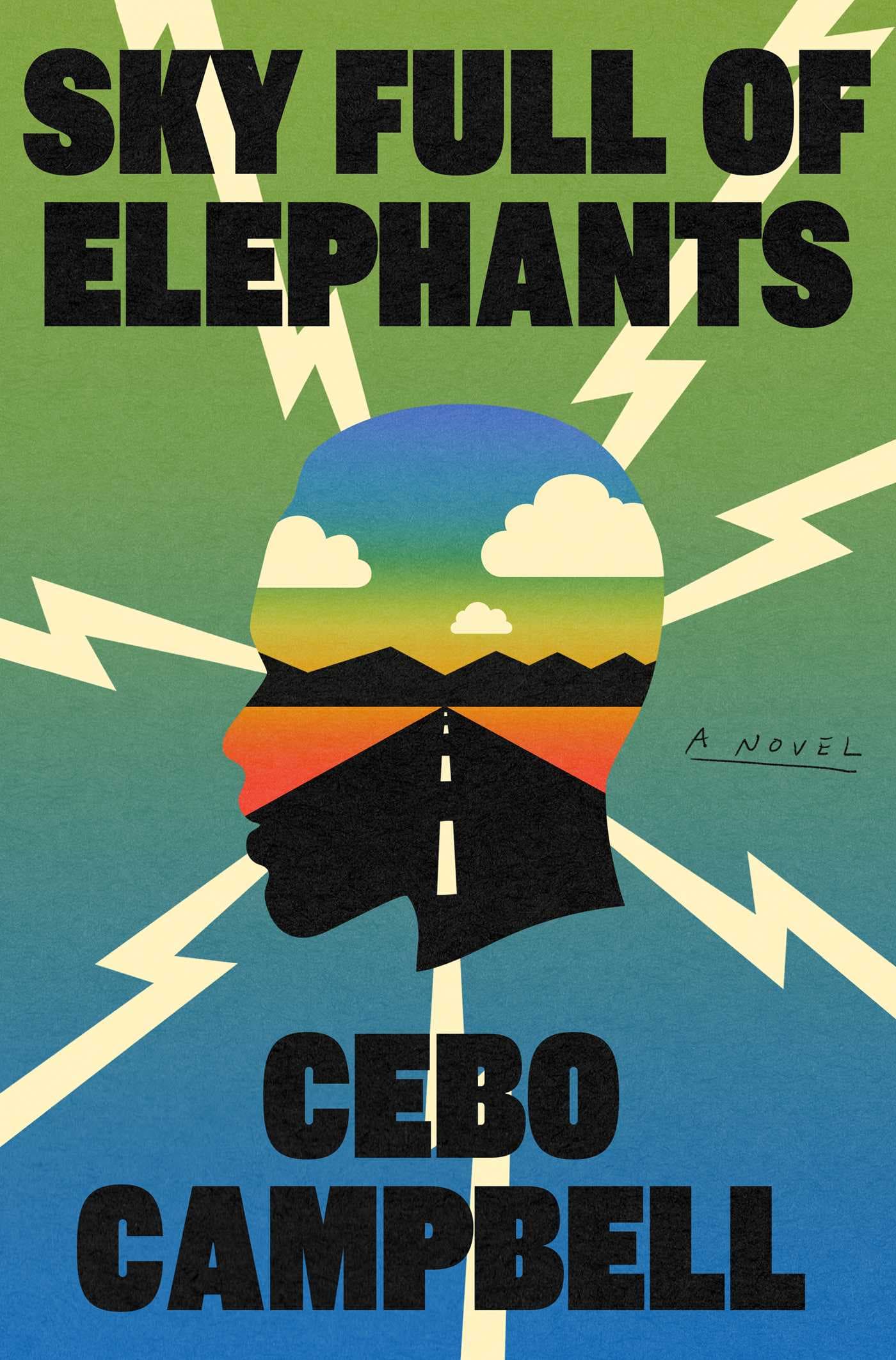 Sky Full of Elephants book cover