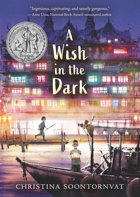 A Wish in the Dark book cover