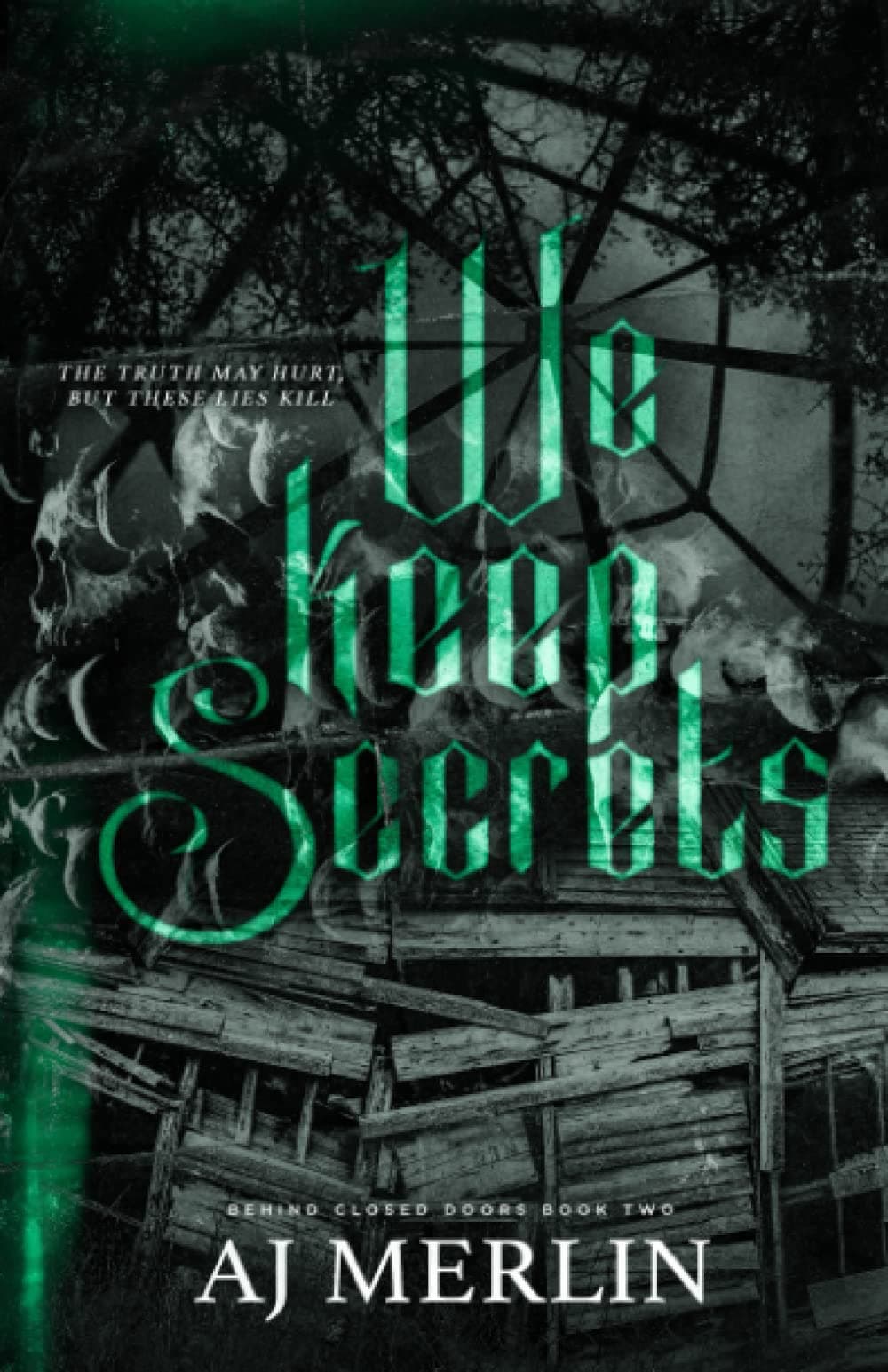 We Keep Secrets book cover