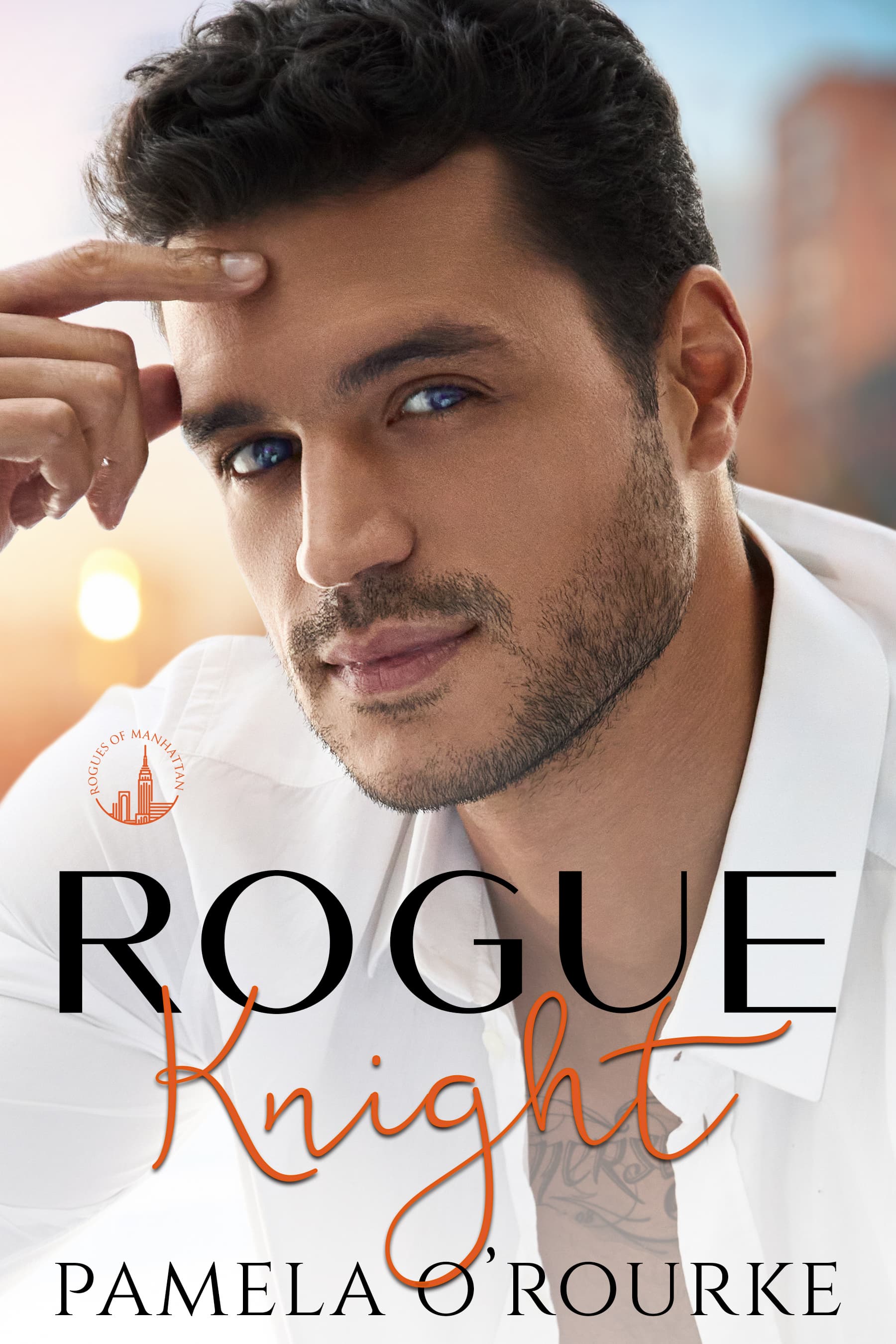 Rogue Knight book cover