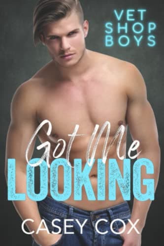 Got Me Looking book cover