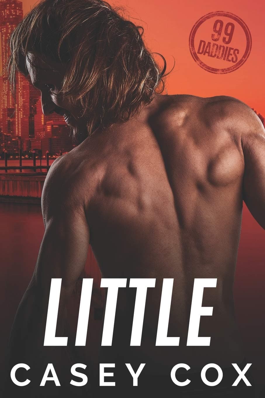 Little book cover