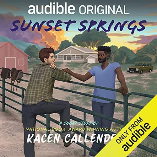 Sunset Springs book cover