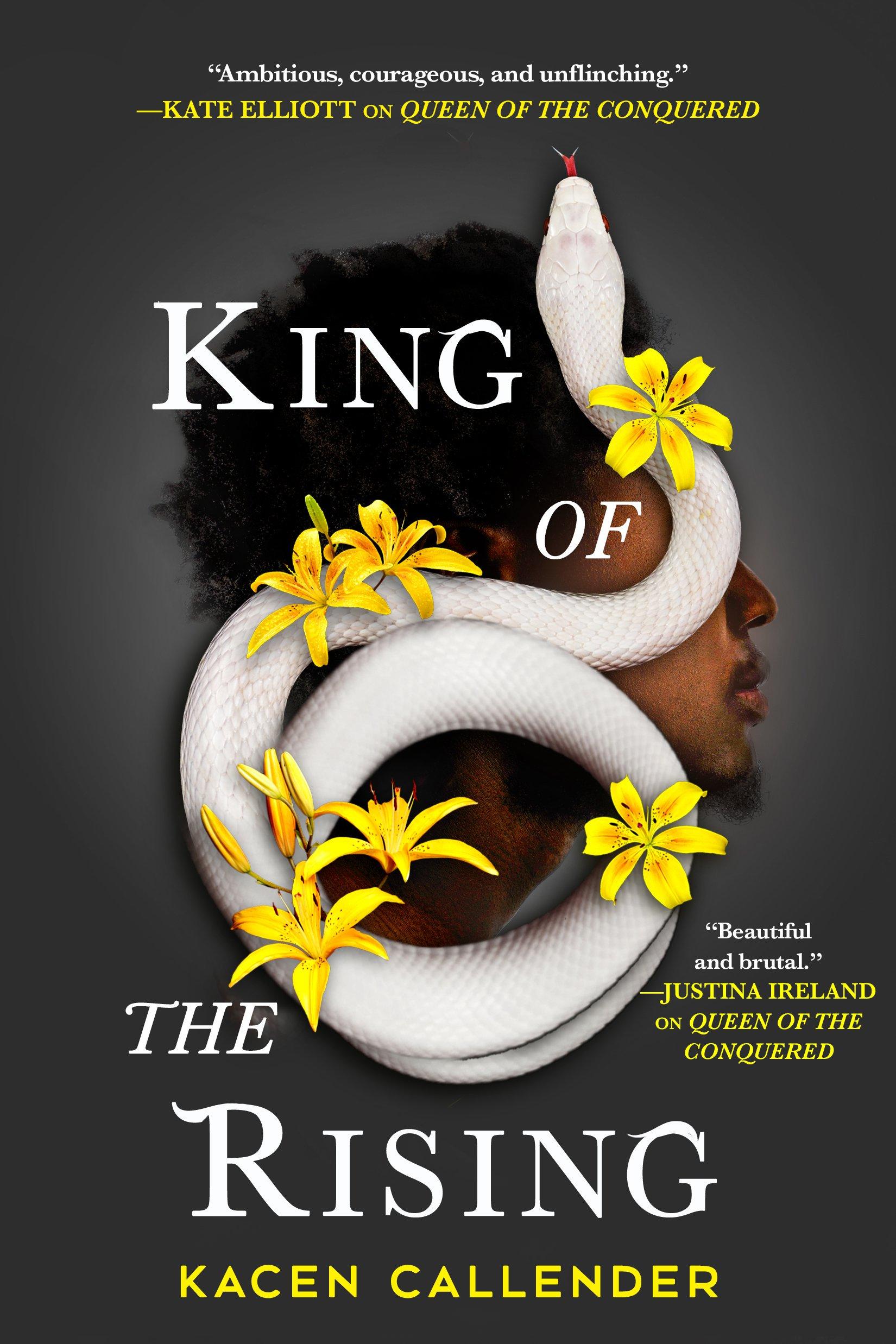 King of the Rising book cover