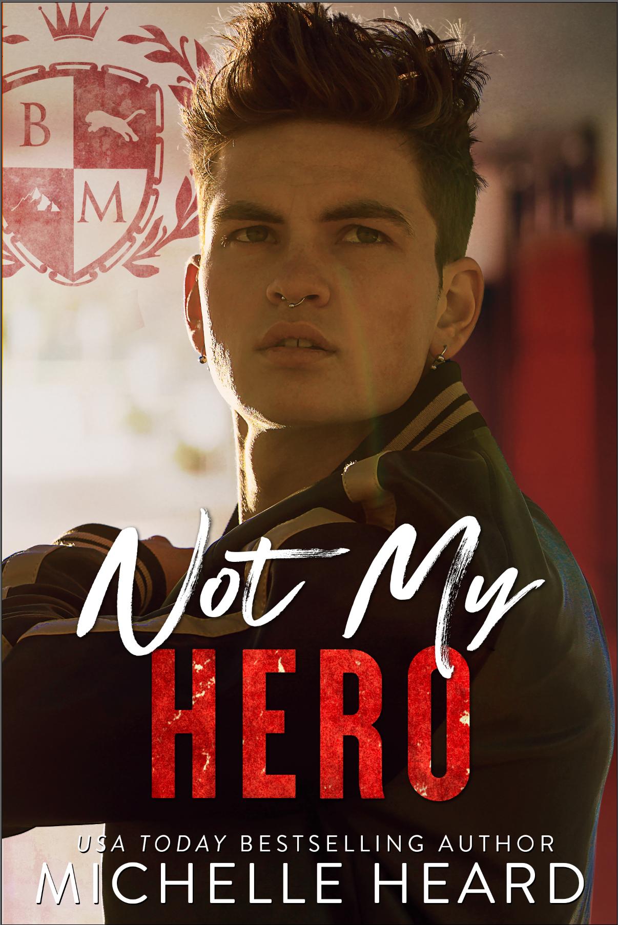 Not My Hero book cover