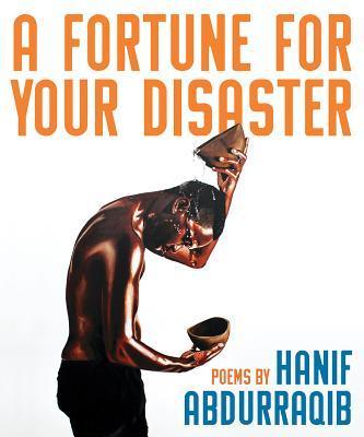 A Fortune for Your Disaster book cover