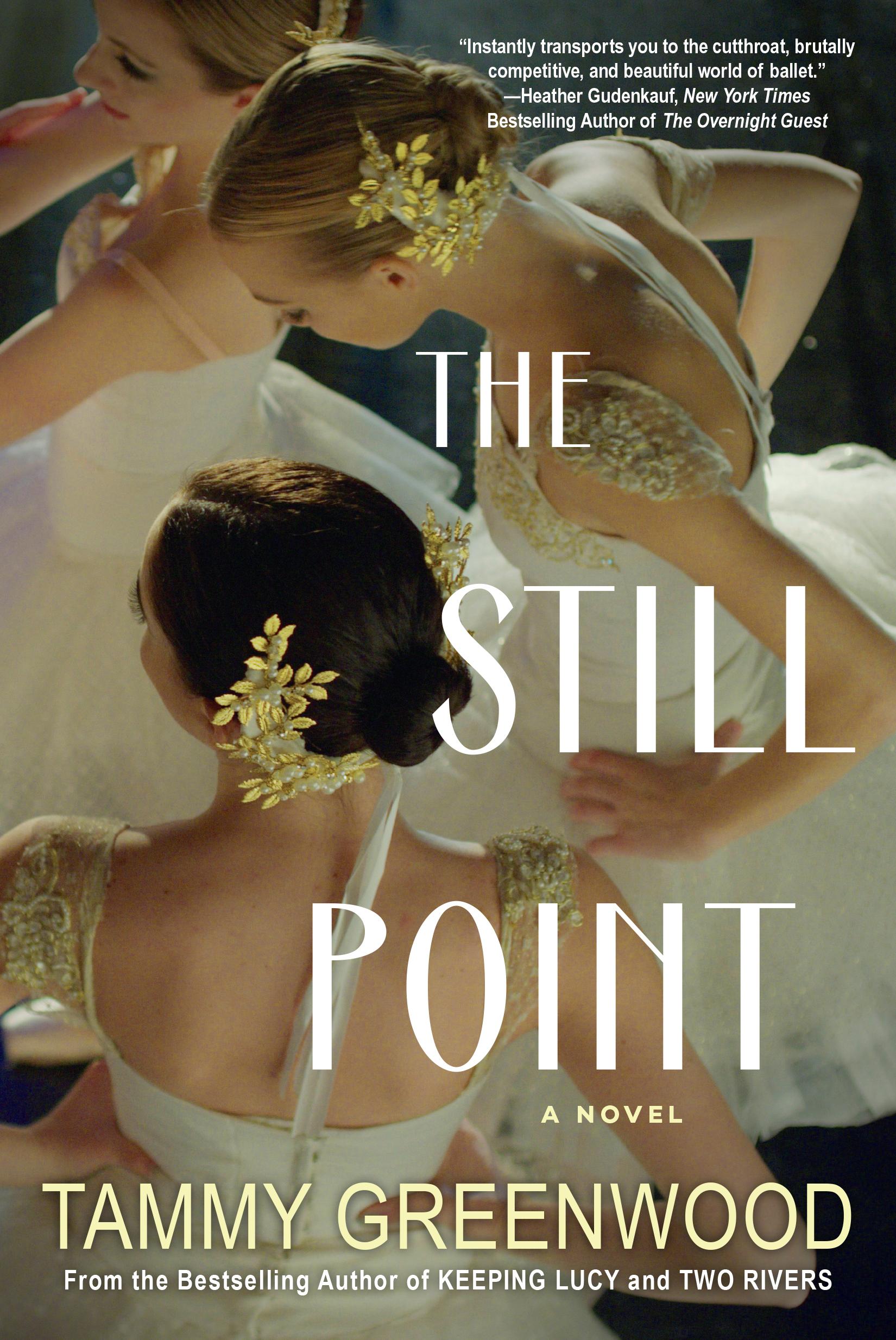 The Still Point book cover