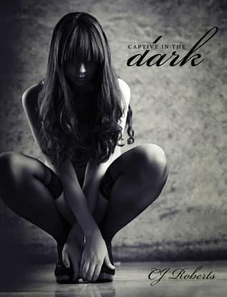 Captive in the Dark book cover