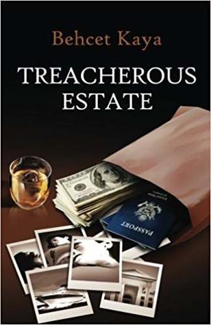 Series Book Cover Preview
