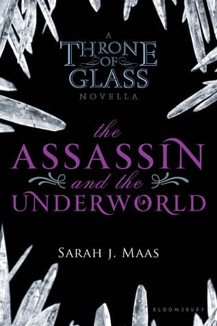 The Assassin and the Underworld book cover
