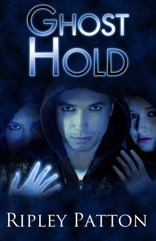 Series Book Cover Preview