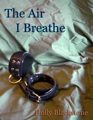 The Air I Breathe book cover
