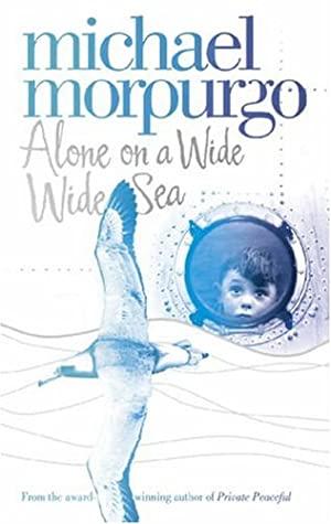 Alone on a Wide Wide Sea book cover