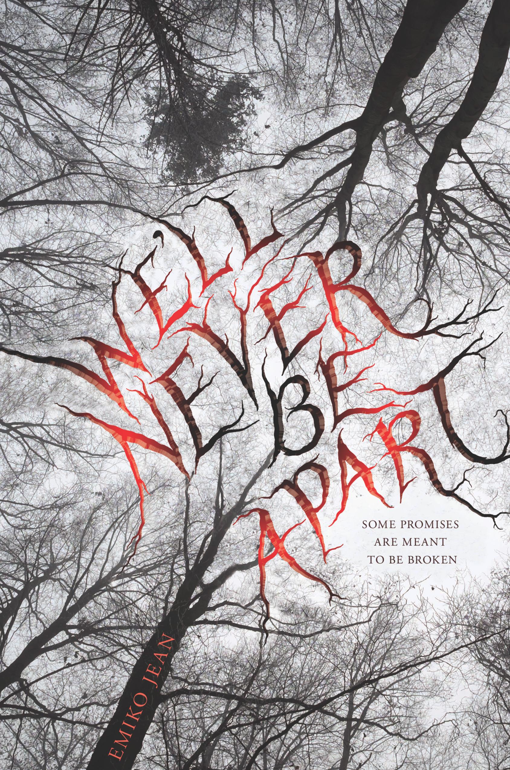 We'll Never Be Apart book cover
