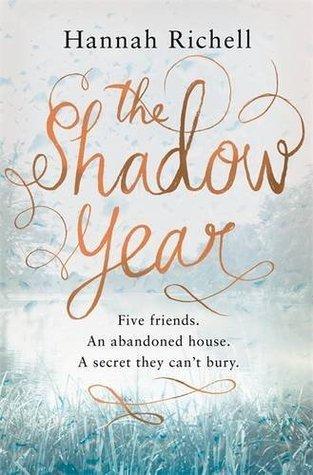 The Shadow Year book cover