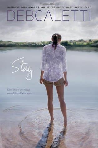 Stay book cover