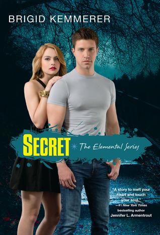 Secret book cover