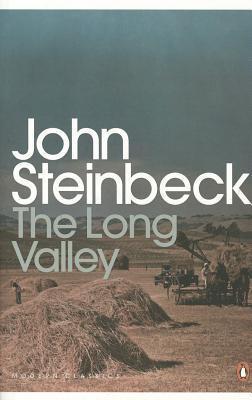 The Long Valley book cover