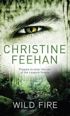 Wild Fire book cover