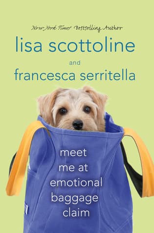 Meet Me at Emotional Baggage Claim book cover