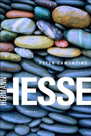 Peter Camenzind book cover